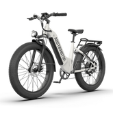 Aostirmotor QUEEN 1000W 52V All Terrain Step-Thru Fat Tire Electric Bike